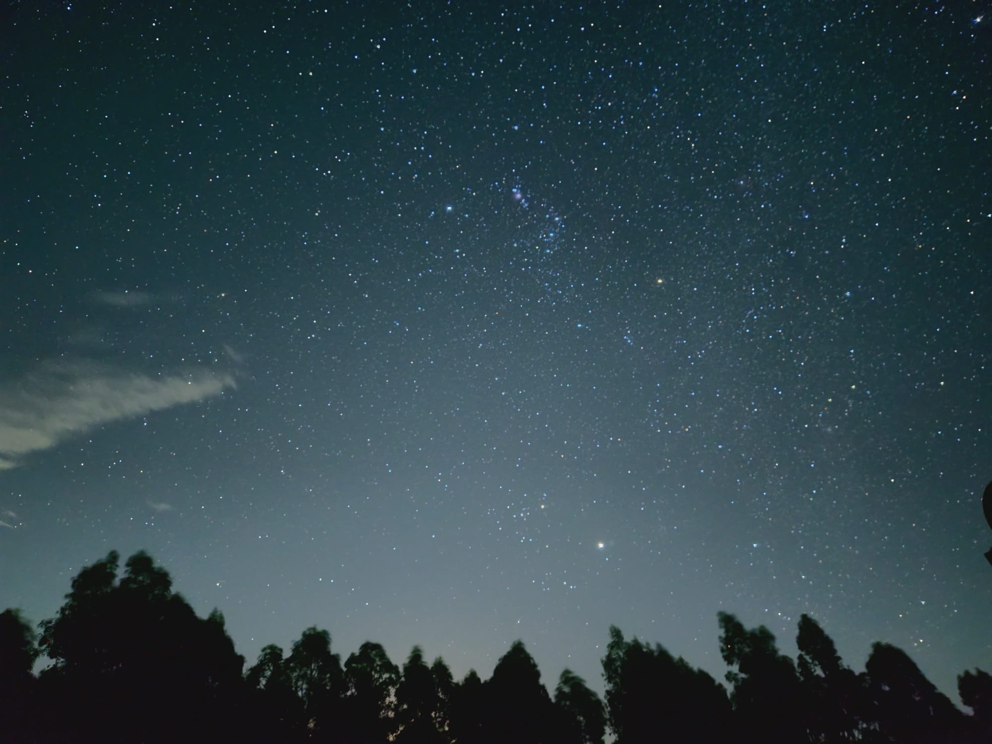 2601_WhatsApp Image 2025-12-24 at 11.43.02 (2).jpeg